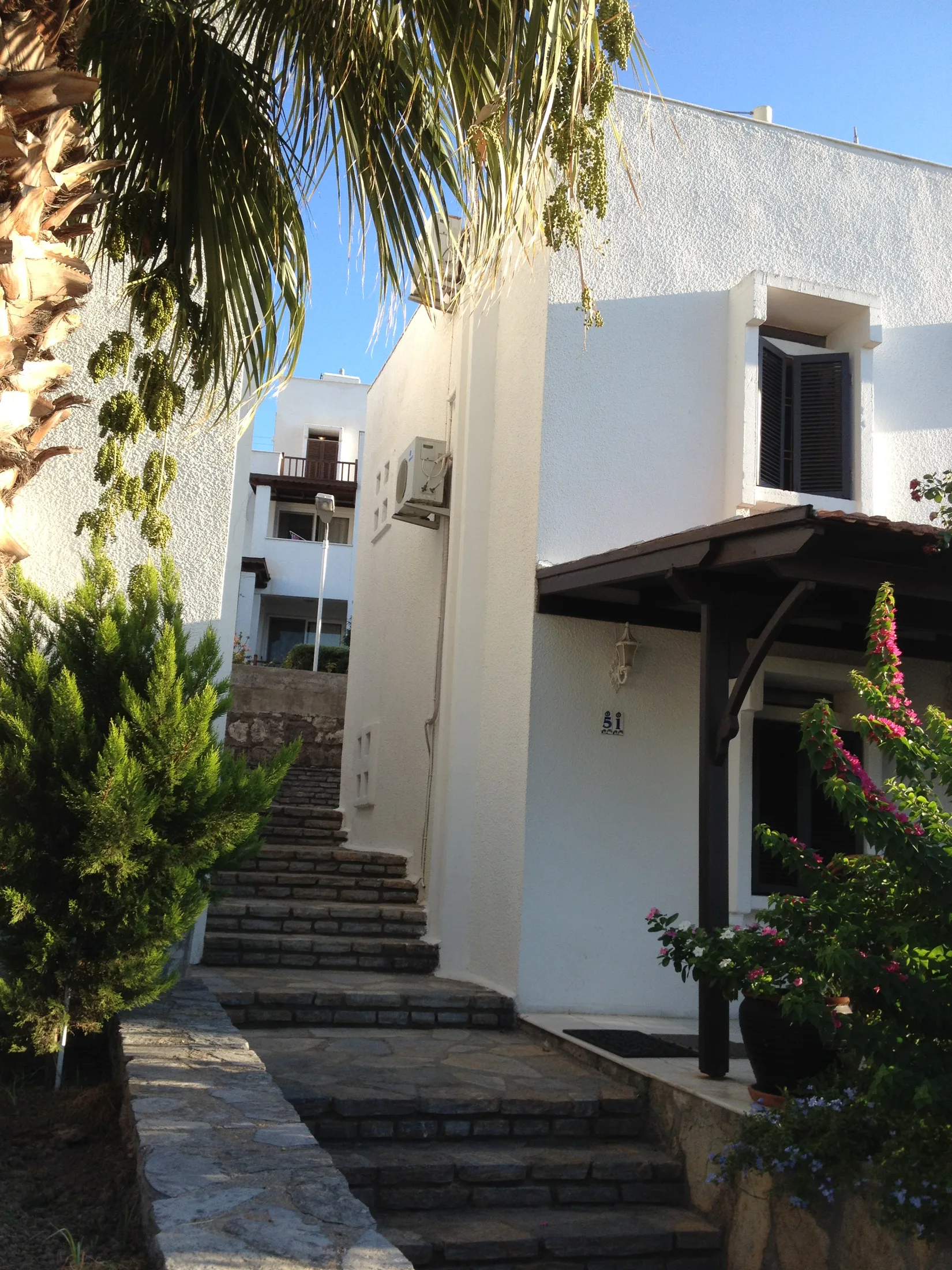 Nijat Gürsoy, Bodrum projesi, görsel 2