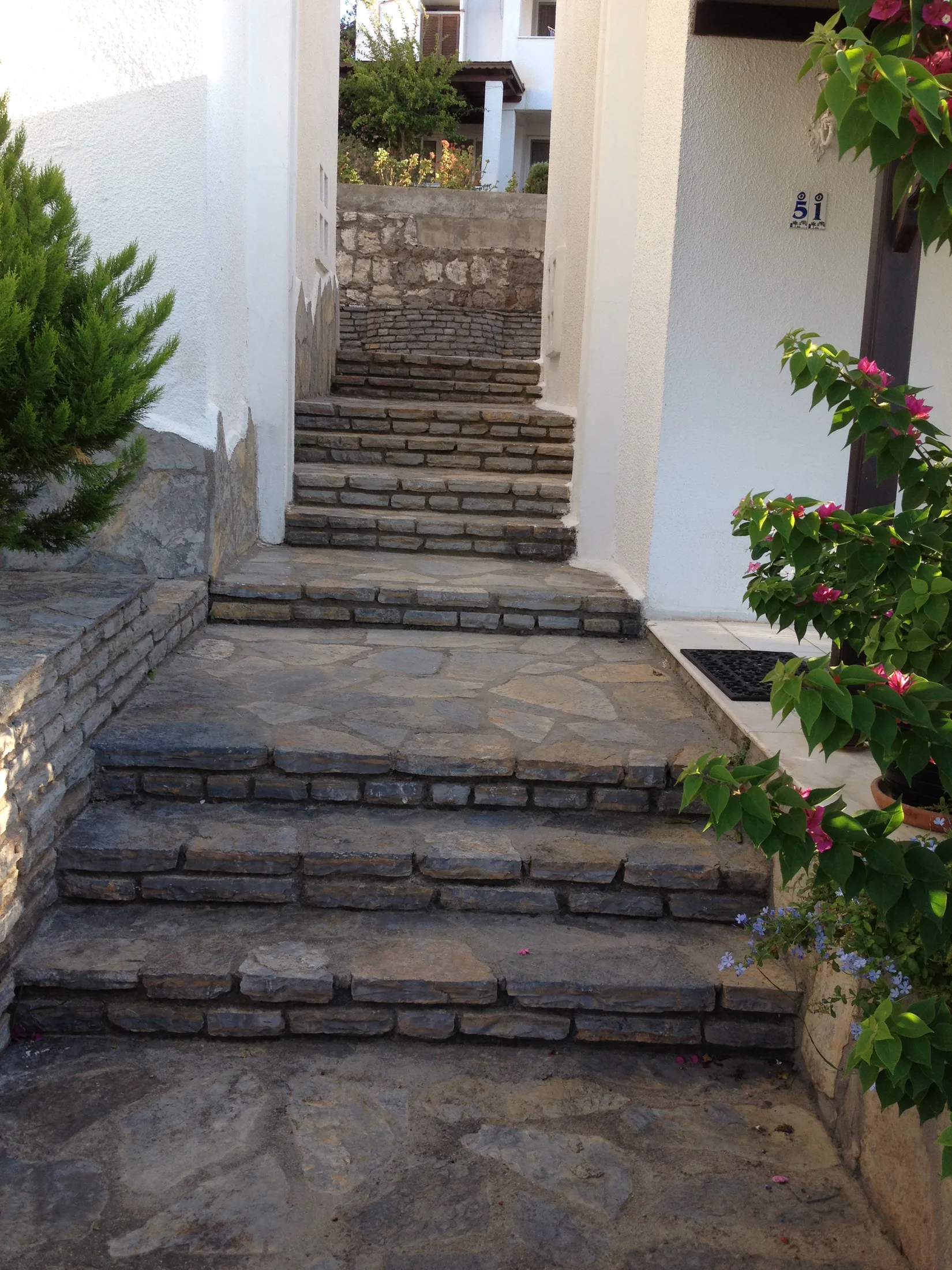 Nijat Gürsoy, Bodrum projesi, görsel 3