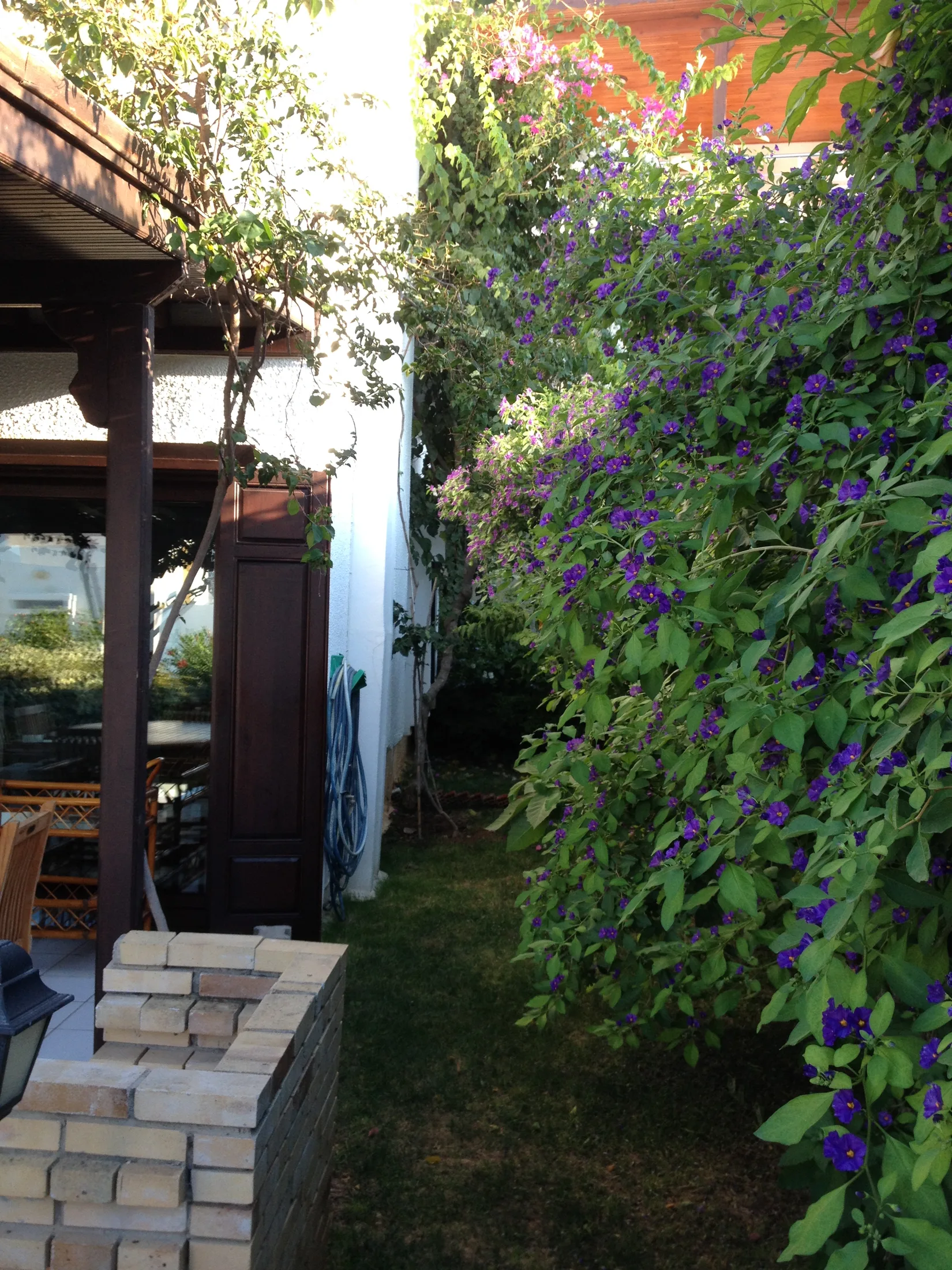 Nijat Gürsoy, Bodrum projesi, görsel 6